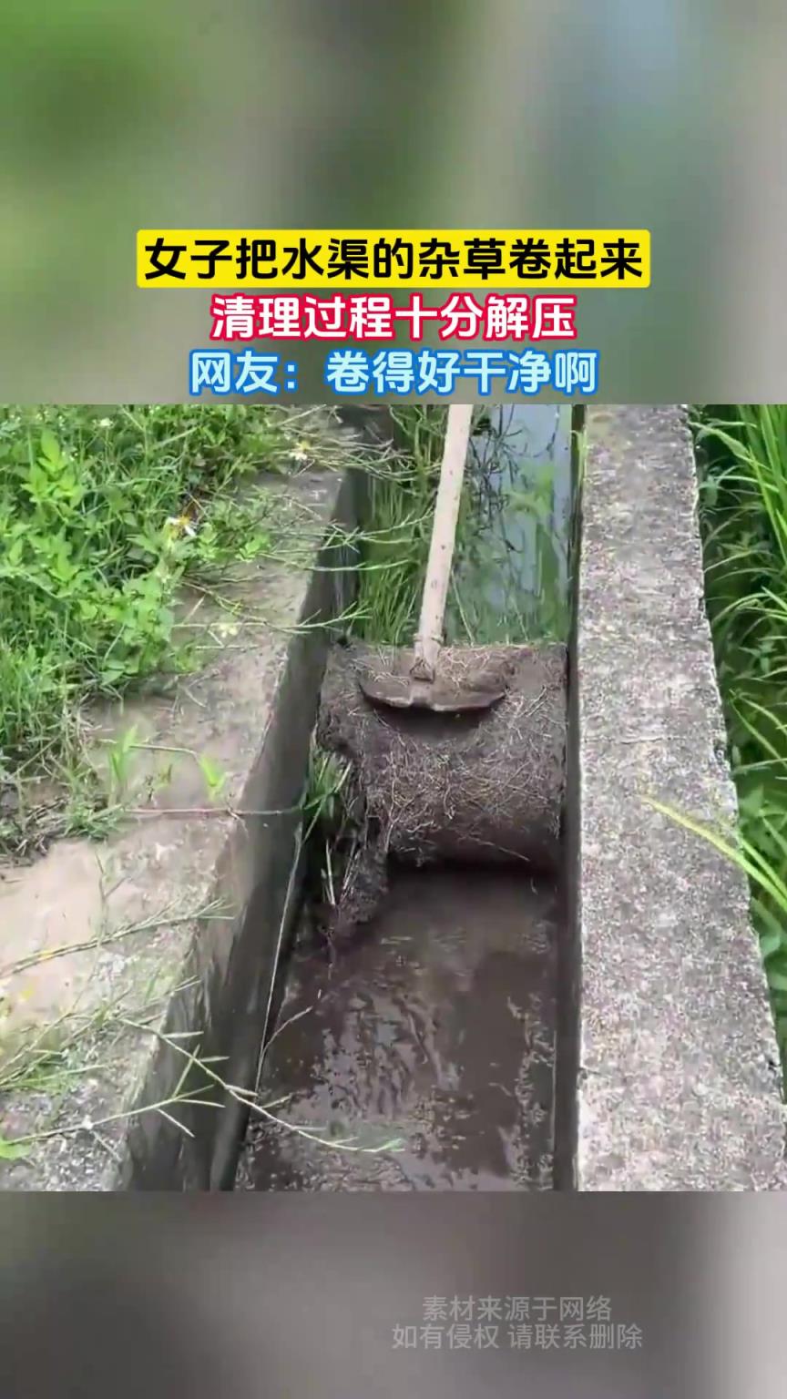 女子把水渠的杂草卷起来，清理过程十分解压，网友：卷得好干净啊