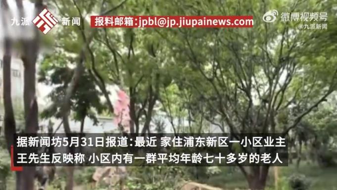 8旬老人砍掉小區(qū)20年香樟樹??！
