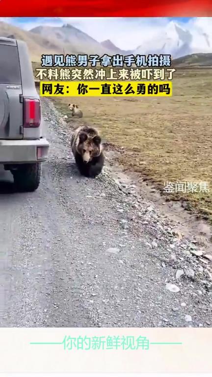 遇见熊男子拿出手机拍摄，不料熊突然冲上来被吓到了！