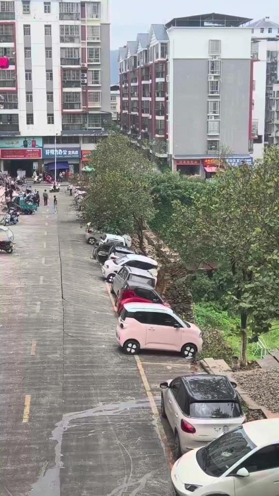 这个谁来赔偿。。。