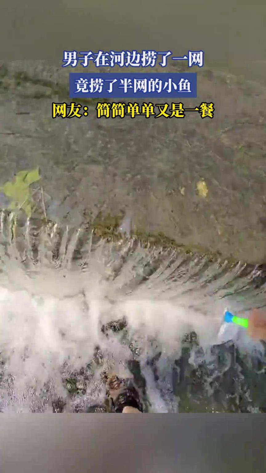 男子在河邊撈了一網(wǎng)，竟撈了半網(wǎng)的小魚，網(wǎng)友：簡簡單單又是一餐