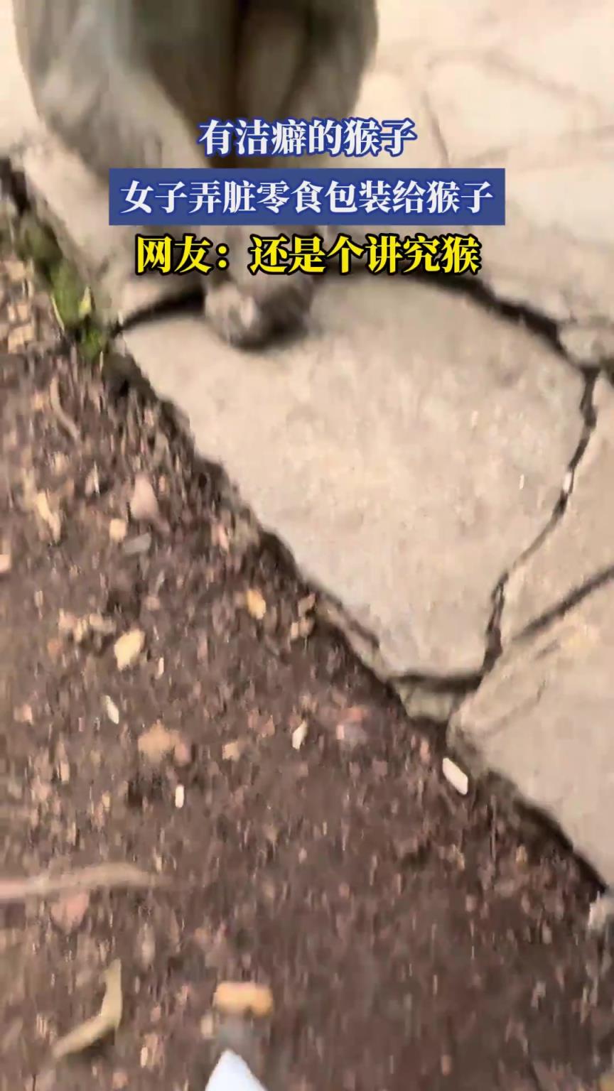 有潔癖的猴子，女子弄臟零食包裝給猴子，網(wǎng)友：還是個講究猴