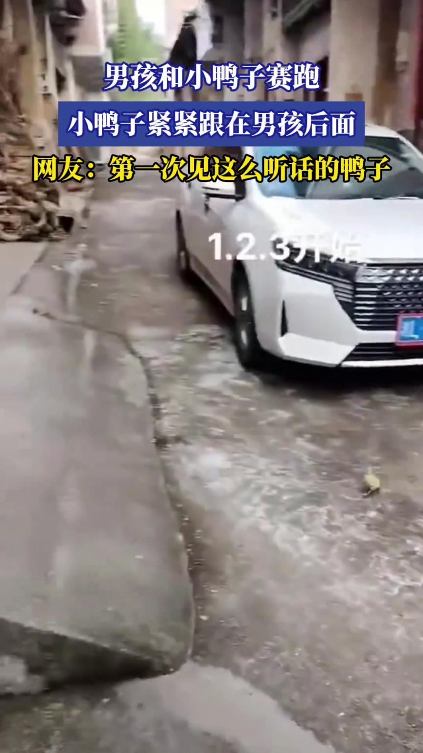男孩和小鸭子赛跑，小鸭子紧紧跟在男孩后面