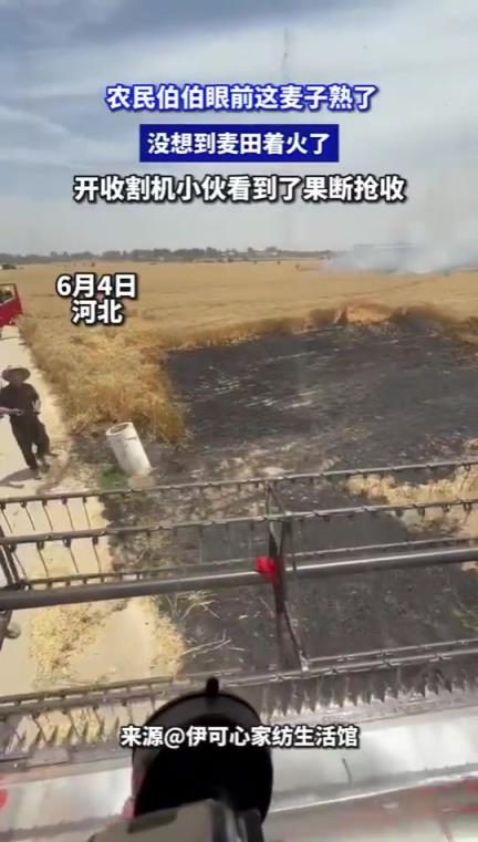 农民伯伯麦田着火，开收割机小伙见状果断抢收保麦！！