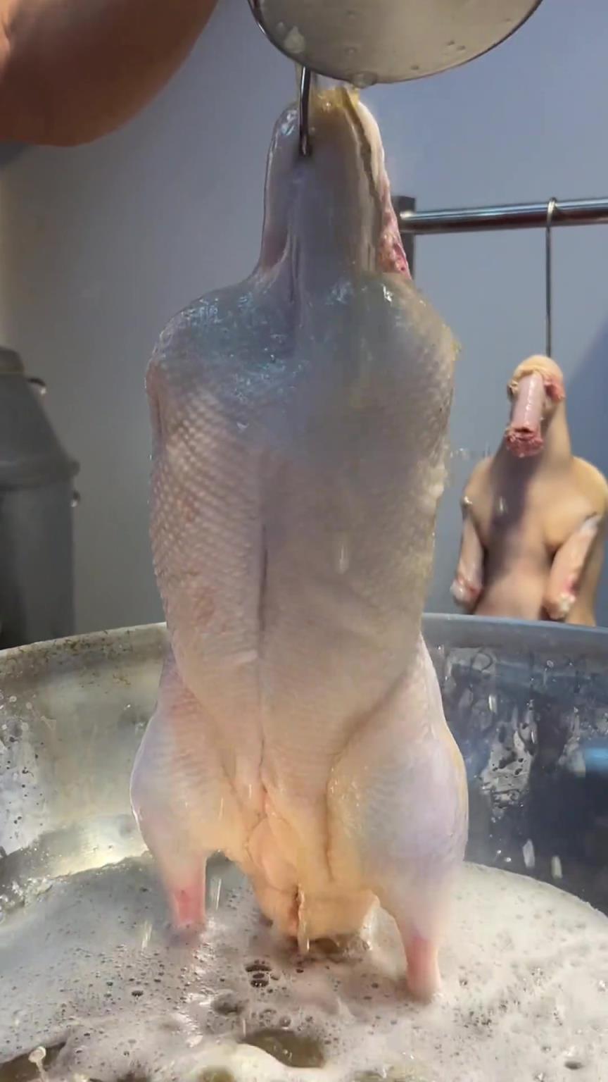 这弄出来好看好靓！！！