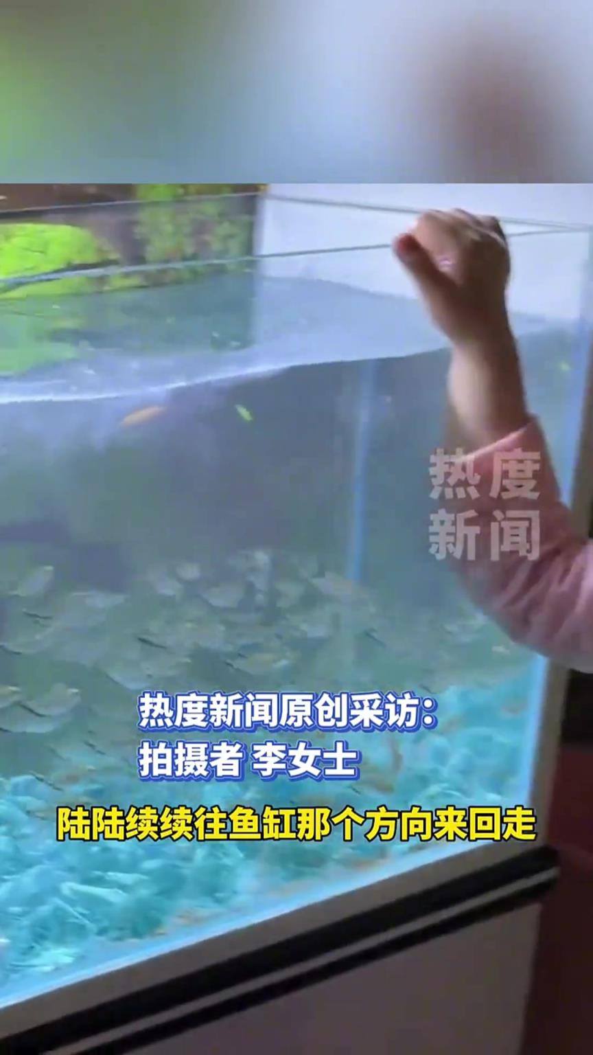 3歲萌娃用橡皮泥禍害了一缸魚，爸爸守著魚缸到凌晨一點