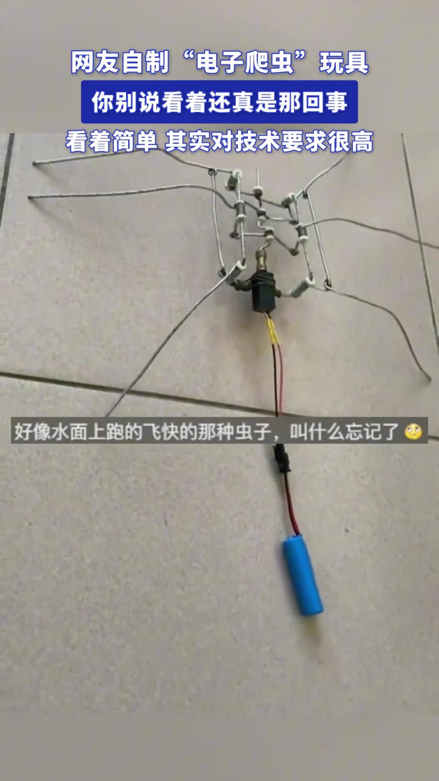 网友自制电子爬虫玩具，你别说看着还真是那回事
