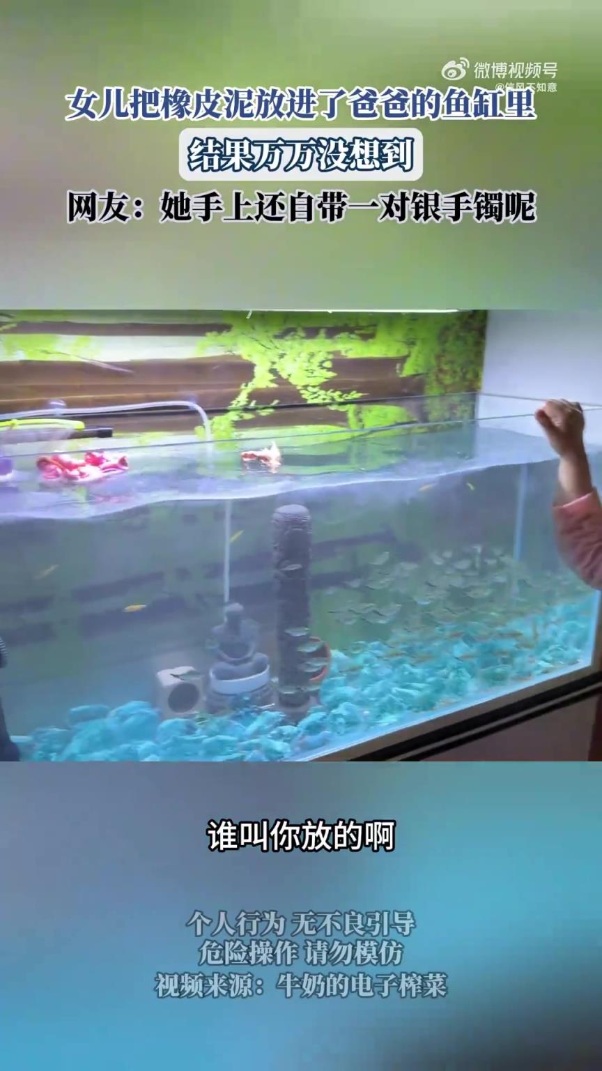女儿将橡皮泥放入爸爸鱼缸，后续发展出人意料