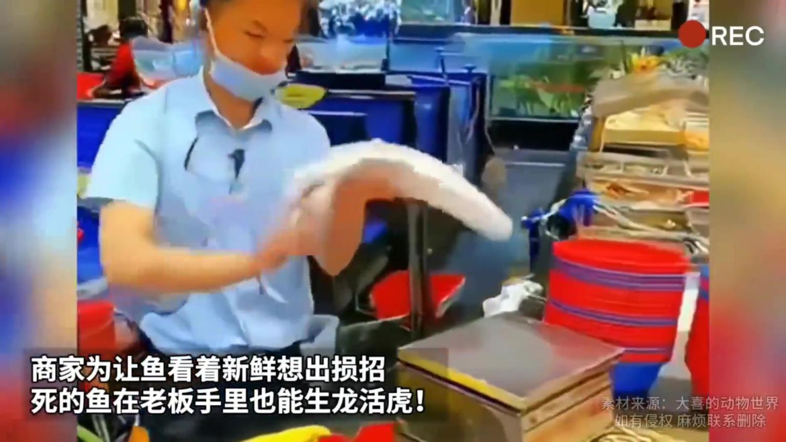 沒看出來，怎么操作的？？