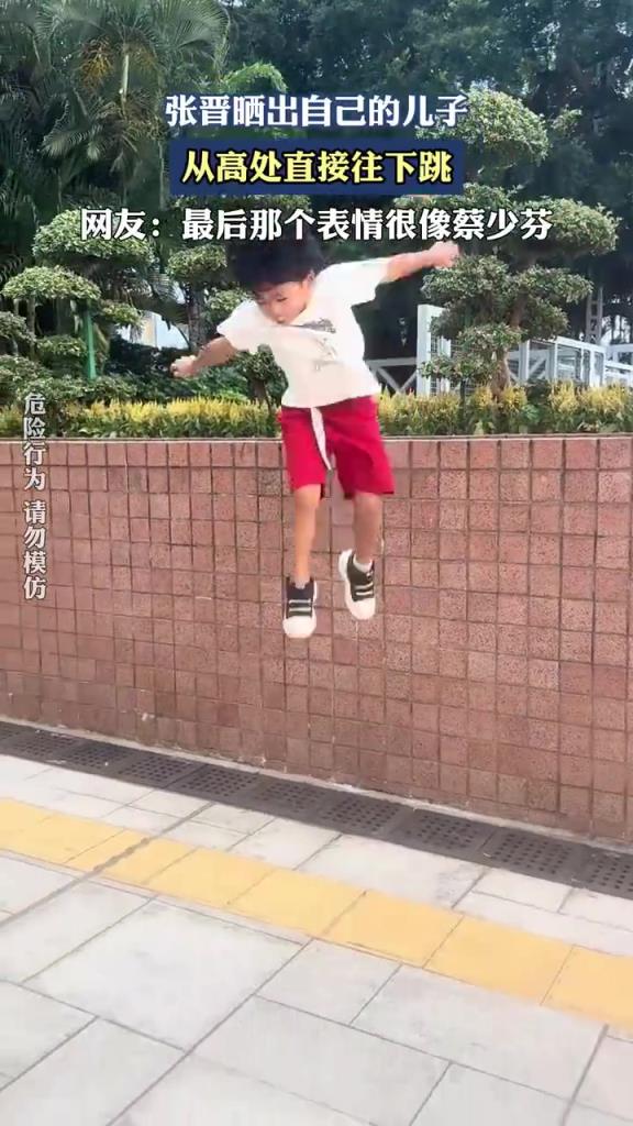 张晋晒出自己的儿子，从高处直接往下跳！