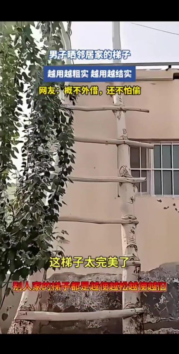 男子晒邻居家的梯子,越用越粗,越用越结实!!