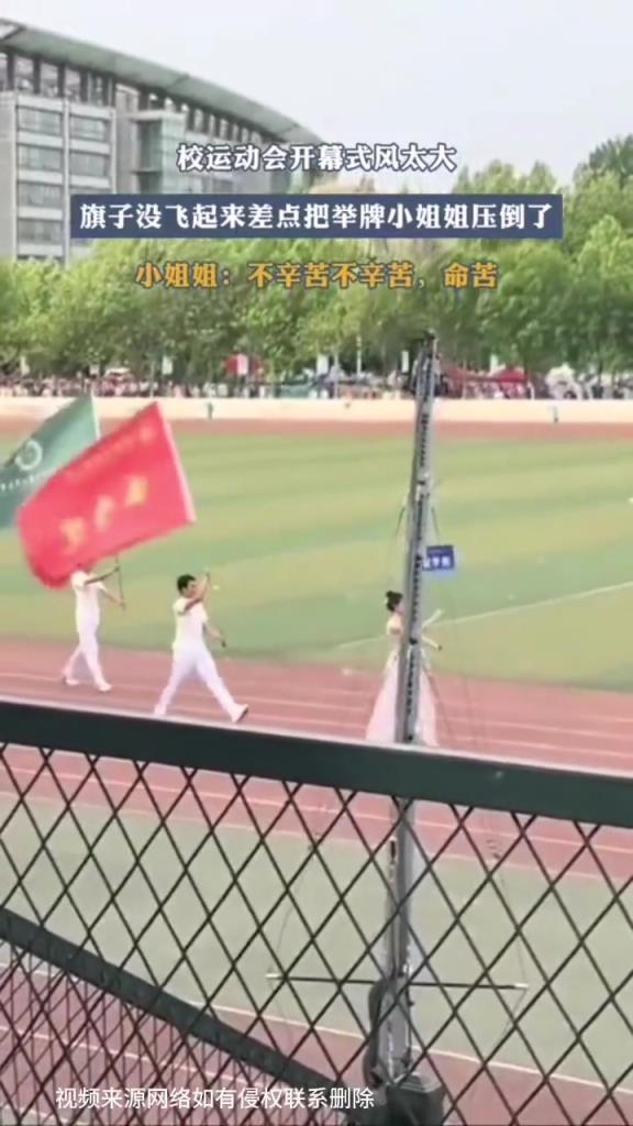 小姐姐：不辛苦，命苦！