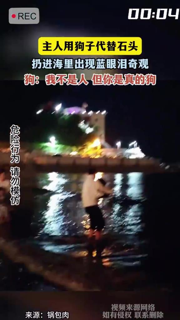 主人用狗子代替石头 扔进海里出现蓝眼泪奇观