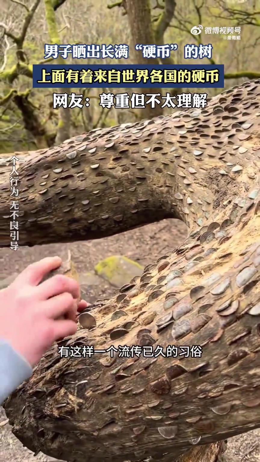 男子曬奇特樹木：樹上長滿來自世界各國的硬幣
