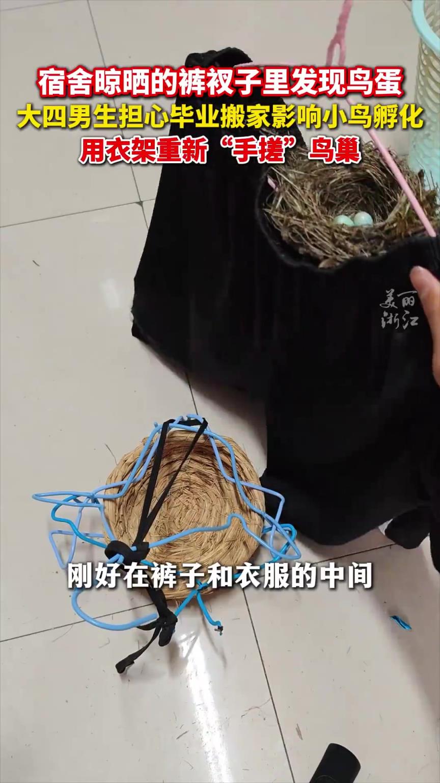 室友的褲衩子里發(fā)現(xiàn)了鳥蛋