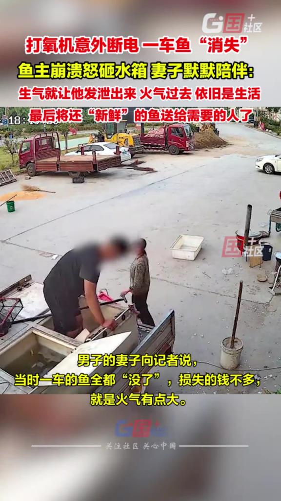 打氧機(jī)意外斷電，一車魚全部死，魚主崩潰怒砸水箱，妻子默默陪伴