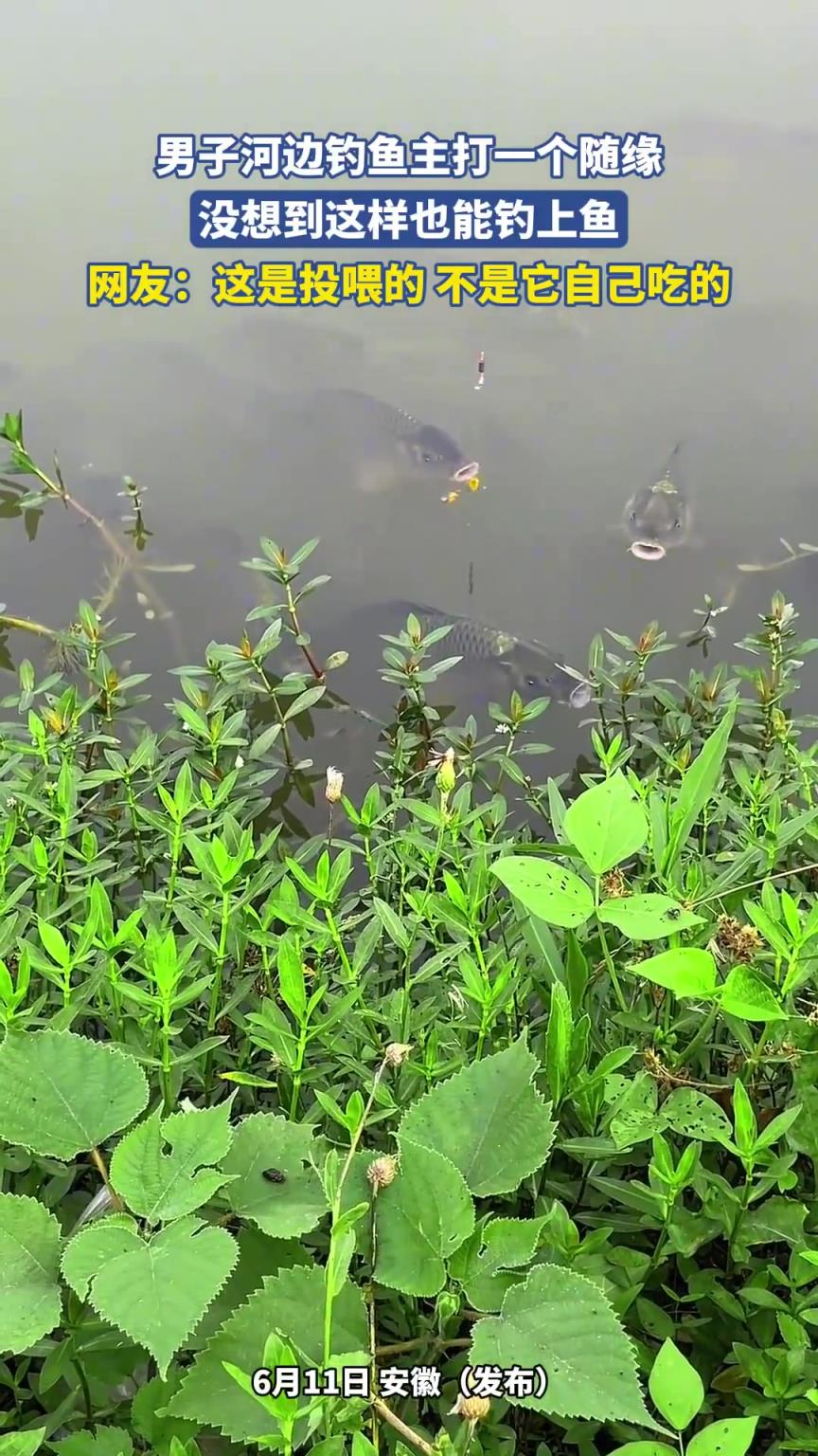 男子河邊釣魚主打一個隨緣，沒想到這樣也能釣上魚