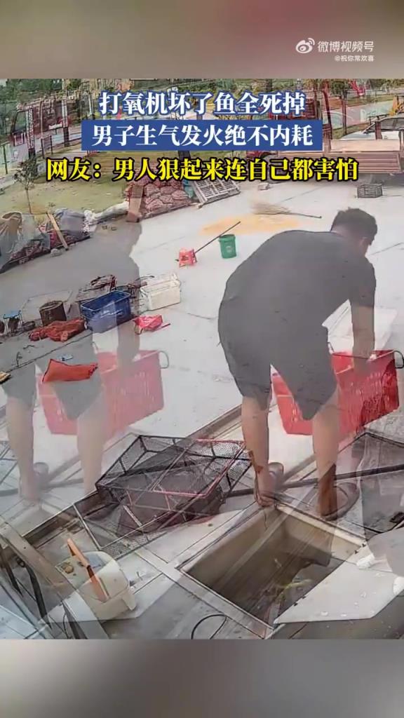 打氧機壞了魚全死掉，男子生氣發(fā)火絕不內(nèi)耗