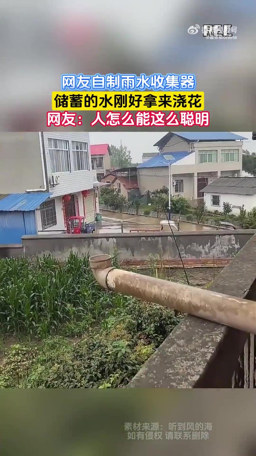 網(wǎng)友自制雨水收集器，儲蓄的水剛好拿來澆花