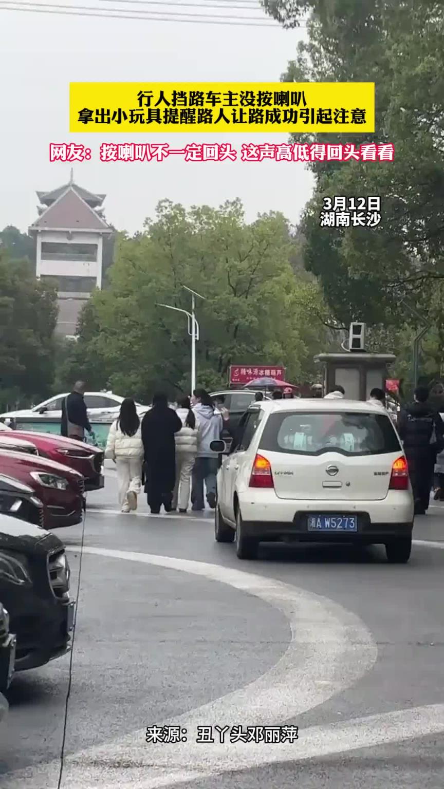 行人挡路车主没按喇叭 拿出小玩具提醒路人让路成功引起注意