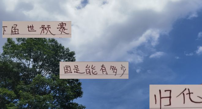 伊萬下課！下周期國足能有多少個(gè)歸化 海港擎天柱蔣光太 還會(huì)打嗎