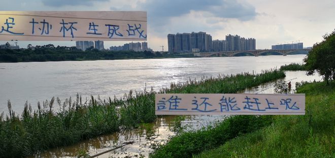 朱辰杰被換下！能趕上足協(xié)杯跟海港生死戰(zhàn)嗎