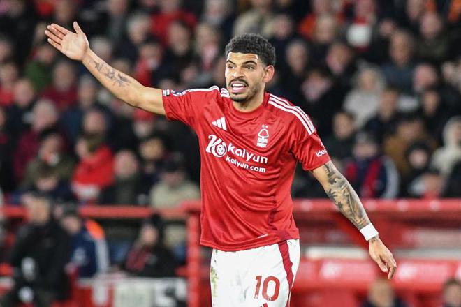 謝林漢姆：曼聯也應該追吉布斯-懷特，他可是能接班德布勞內的人