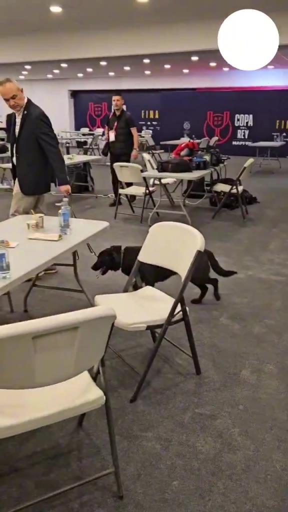 巴萨皇马的新闻发布会都这么刺激，还有警犬巡逻啊