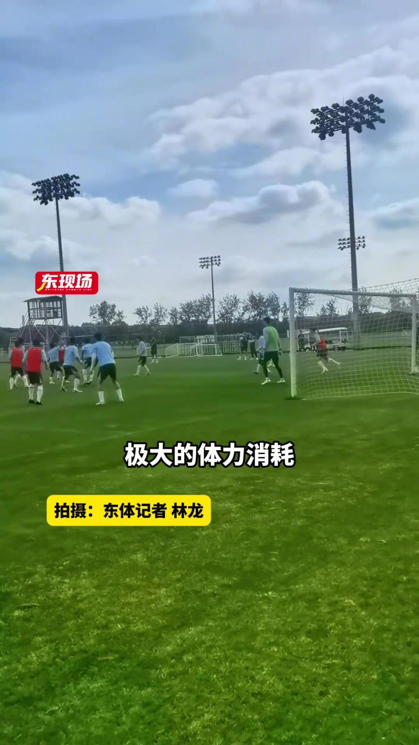 申花傷病潮來襲，路易斯、吳曦缺陣關鍵戰，小將劉誠宇爆發成亮點