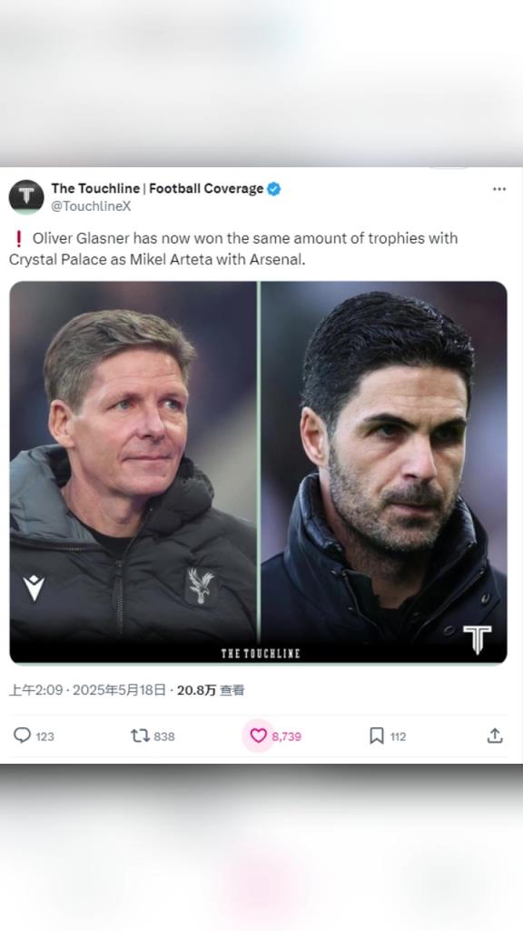 社區盾杯不算嗎?博主:水晶宮主帥已經和阿爾特塔冠軍數量一樣多了