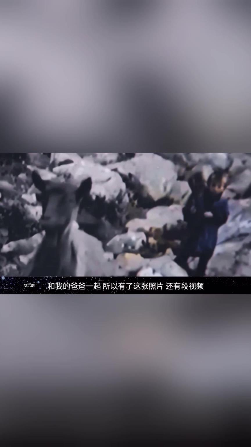 從放羊娃到足壇巨星！中場大師莫德里奇的勵志人生！
